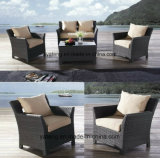 Whole Sell Cheap Outdoor Garden Furniture Sofa Set with Single &Double Seat (YT477-1)