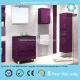 15mm PVC Board Door Panel Bathroom Cabinet (BLS-16084)