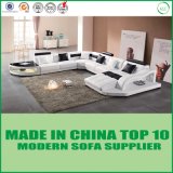 Simple U-Shape Modern Genuine Leather Leisure Sofa