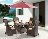 Outdoor /Rattan / Garden / Patio / Hotel Furniture Rattan Chair & Table Set (HS 1629LC & 7616DT)