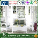 Wicker Furniture - Patio Wicker Sofa Set - Outdoor Traditional Sofa (TG-1506)