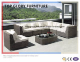 New Design Outdoor/Patio Furniture Sofa Set (TG-047)