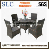 Outdoor Furniture /Rattan Dining Sets (SC-M0035)