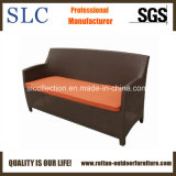 Rattan Sofa/Outdoor Furniture/Three Seat Sofa (SC-B1078-2)