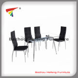 European Style Dining Table and Dining Chair (DT055)