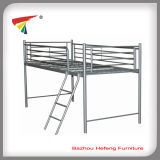 Modern Double Over Double Dormitory Metal Bunk Beds (HF004)
