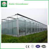 Hot Sale Glass Green House Supplier for Vegetable Growing