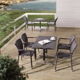 Outdoor Wicker Patio Dining Garden Home Hotel Office Rattan Chair and Table (J374BR)