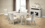 Hot Selling Dining Room Furniture Set Dining Table and Chair (CY-2020+CT-2020)