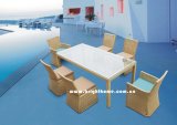 Wick Rattan Leisure Furniture/ Outdoor Garden Furniture (BP-3002A)