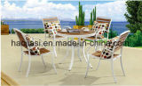 Outdoor /Rattan / Garden / Patio / Hotel Furniture Polywood Chair & Table Set (HS 3025C & HS 6128DT)