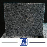 New G654 Black Granite/ Flooring/Wall Cladding/Stairs/Steps/Pool Coping Stone Tile Paving Stone