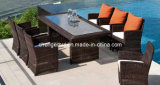 Rattan Dining Set/Rattan Outdoor Furniture/Outdoor Dining Table (DH-896)