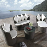 Popular Design modern Furniture Sofa Hotel Furniture Garden Sofa Bed (YT459)