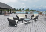 Garden Furniture / Patio Furniture / Outdoor Stylish Furniture (BW-420)