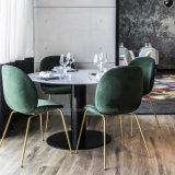 (SL8118) Modern Metal Beentle Dining Chair for Restaurant Cafe Furniture