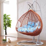 Double Swing, Rattan Furniture, Rattan Basket (D151C)