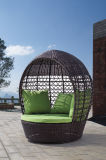 Outdoor Furniture Rattan Lying Bed Pool Loung Daybed