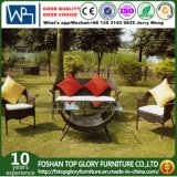 Wicker 4PC Chair with Cushion Outdoor Sofa Sets with Coffee Table (TG-218)