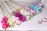 Wholesale Colorful Real Touch Latex Fake Orchids Artificial Orchid Flower for Decoration