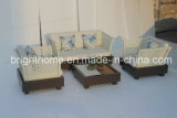 Easy for Cleaning Sofa Set/Wicker Outdoor Furniture (BP-8020)