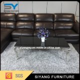 Stainless Steel Glass Coffee Table Furniture