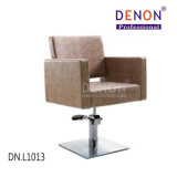 Beauty Salon Chairs Barber Chair for Sale Cheap (DN. L1013)