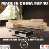 Simple Designed Sectional Leather Sofa (Lz1332b)