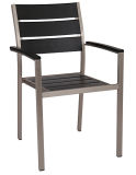 Wholesales Supplies Outdoor Plastic Plywood Dining Chair (DC-15501)