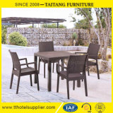 Garden Furniture Plastic Leisure Chair with Rattan Imitate
