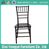 Black Plastic Resin Tiffany Chair for Banquet