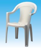 Plastic Chair/Beach Chair