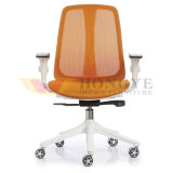 Plastic Frame Chair Mesh Swivel Chair for Office Furniture (HY-8261B)