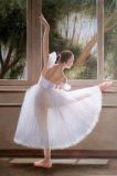 Nice Ballet Dancing Girl Decorative Paintings on Canvas for Home Decor