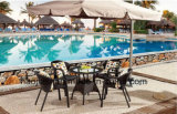 Outdoor /Rattan / Garden / Patio / Hotel Furniture Rattan Chair &Table Set (HS1182C&HS6080CDT)