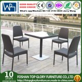 Home Casual Outdoor Rattan Wicker Dining Set (TG-1069)
