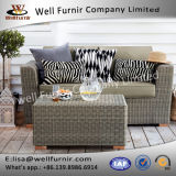 Well Furnir T-041 Grey Color Rattan Sofa with Waterproof Cushion