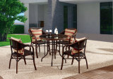 Garden Furniture Bistro Chair & Table Set HS30119c& HS20108dt