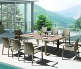Outdoor Garden Patio Home Hotel Restaurant Rattan Siri Dining Table and Chair (J374)