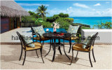 Outdoor /Rattan / Garden / Patio/ Hotel Furniture Polywood Furniture Chair & Table Set (HS3025C& HS6102DT)