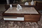Fashion Marble Top Wooden Frame Coffee Table (CJ-2038A)
