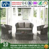 New Design Outdoor Rattan Sofa with Cushion Garden Furniture Leisure Sofa (TG-1502)