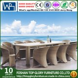 10 Pieces Outdoor Wicker Dining Sets (TG-288)