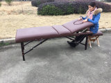 Wooden Massage Table and Massage Bed with Adjustable Backrest
