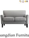Economic Modern Sofa (HD391)