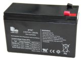 12V7 Sealed Lead Acid Battery for Bassinet/Child Cart/Alarm System