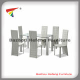 1+6 Glass Dining Table and Chairs for Dining Room (DT021)