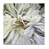 Realistic Floral Oil Paintings for Home or Office Wall Decor