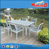 Aluminum Frame Polywood Dining Table and Chair