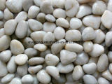 Size 2-3cm /3-5cm /5-8cm Natural White River Pebble Stone for Landscaping